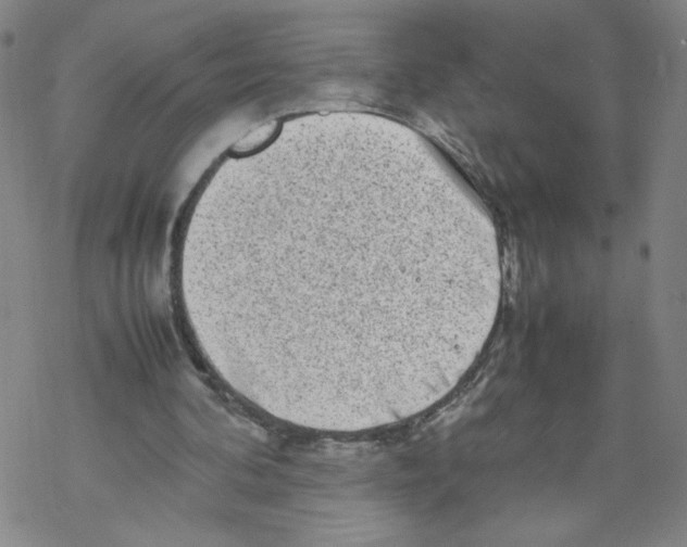 X0000067910292200605111950