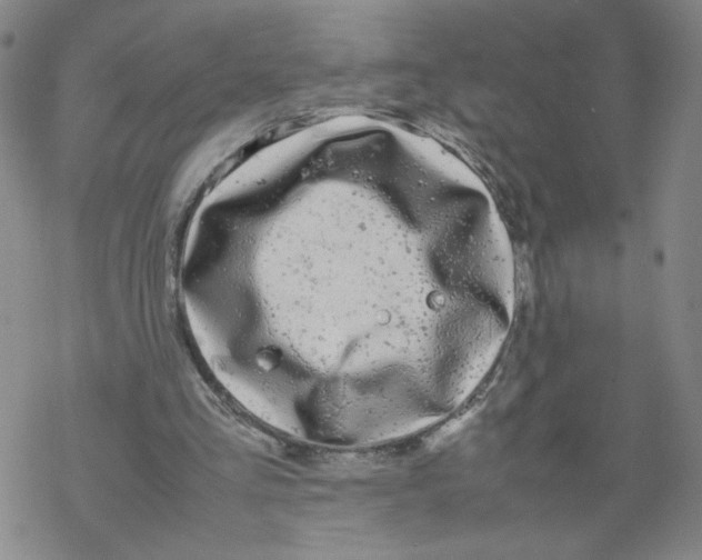 X0000067910293200605111950