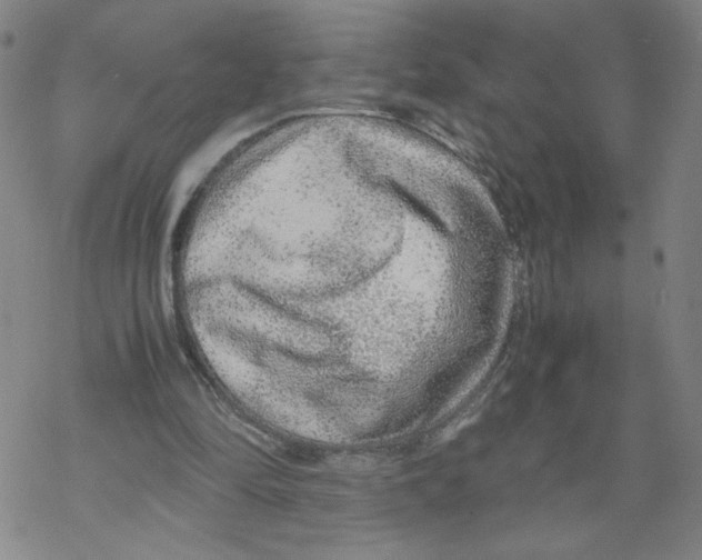 X0000067910294200605111950