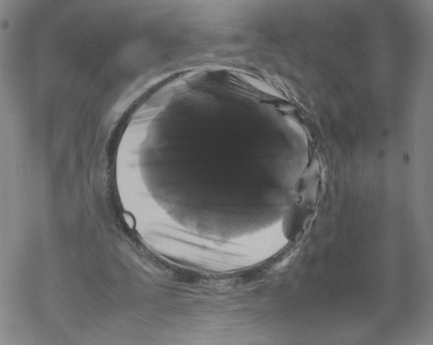 X0000067910295200605111950