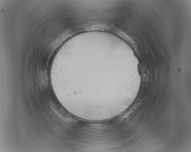 X0000067910298200605111950