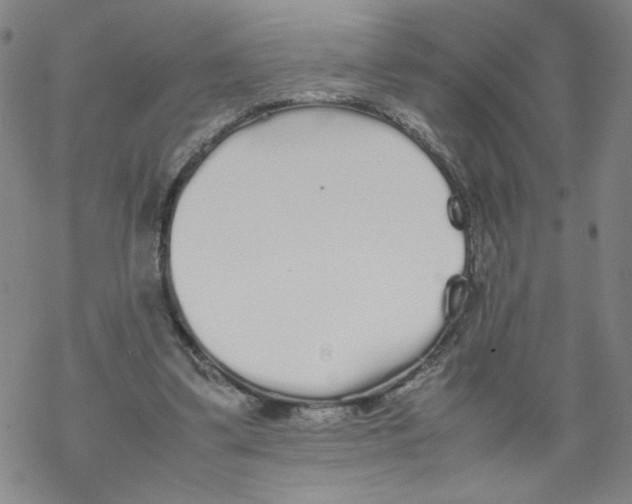 X0000067910299200605111949