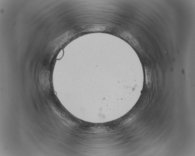 X0000067910300200605111949