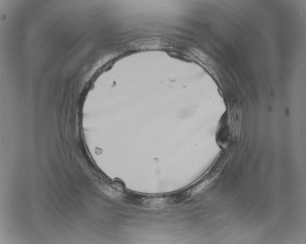 X0000067910301200605111949