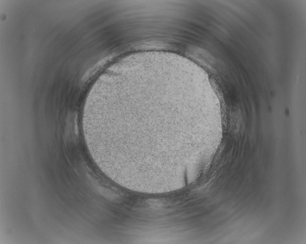 X0000067910302200605111949