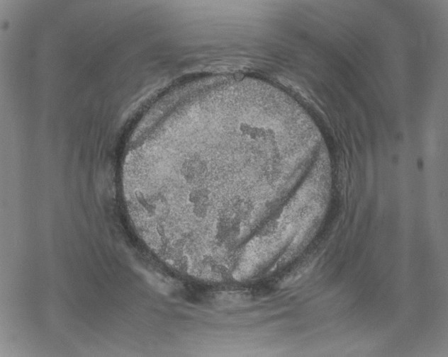 X0000067910303200605111949