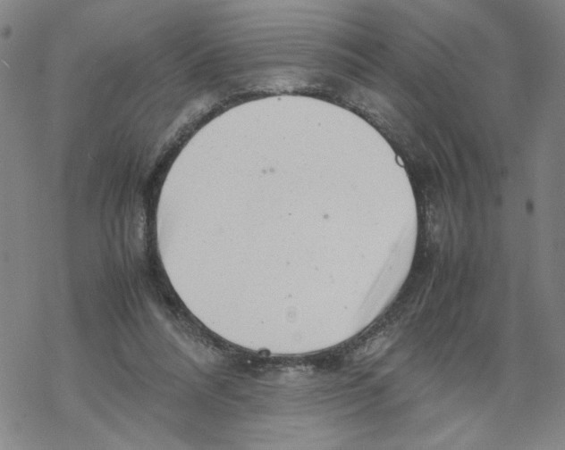 X0000067910304200605111949