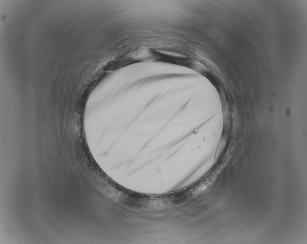 X0000067910305200605111949