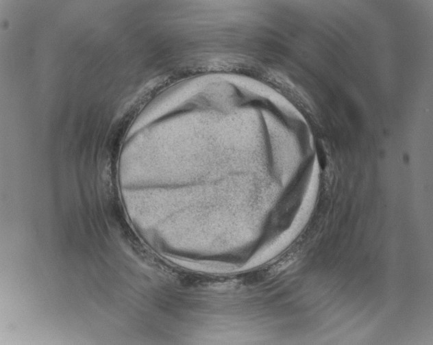 X0000067910306200605111949