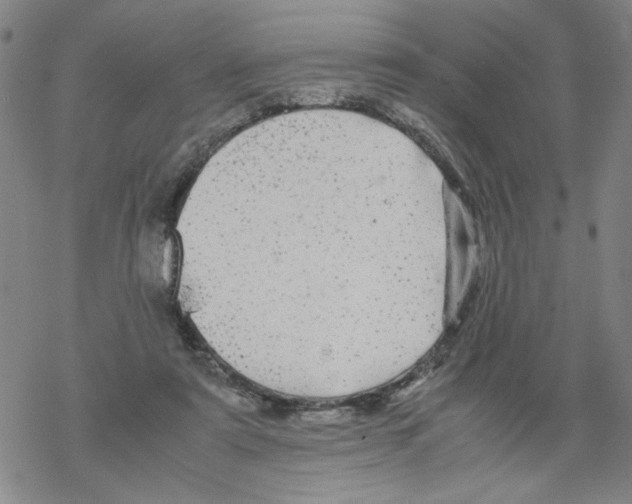 X0000067910307200605111949