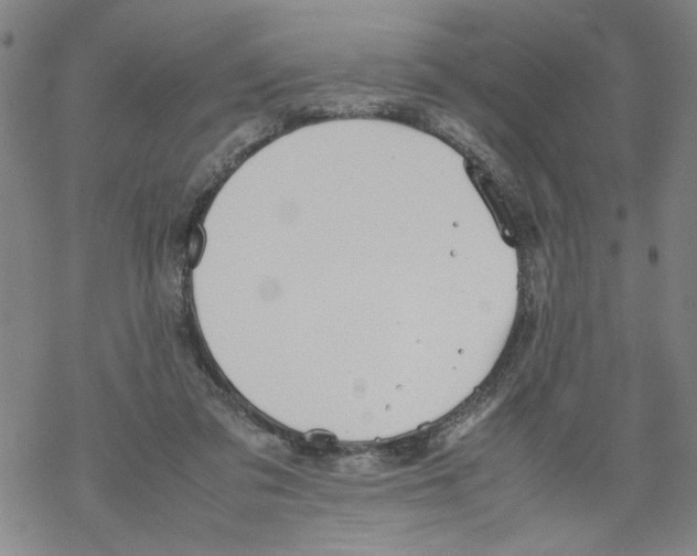 X0000067910309200605111949