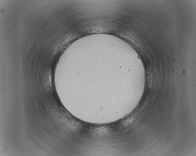 X0000067910310200605111949