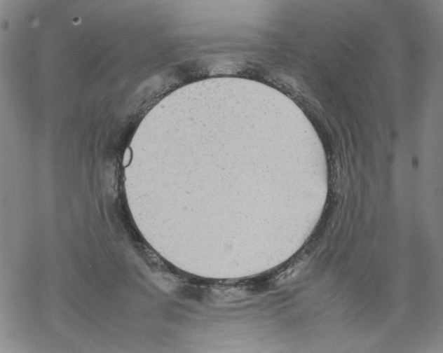 X0000067910311200605111949