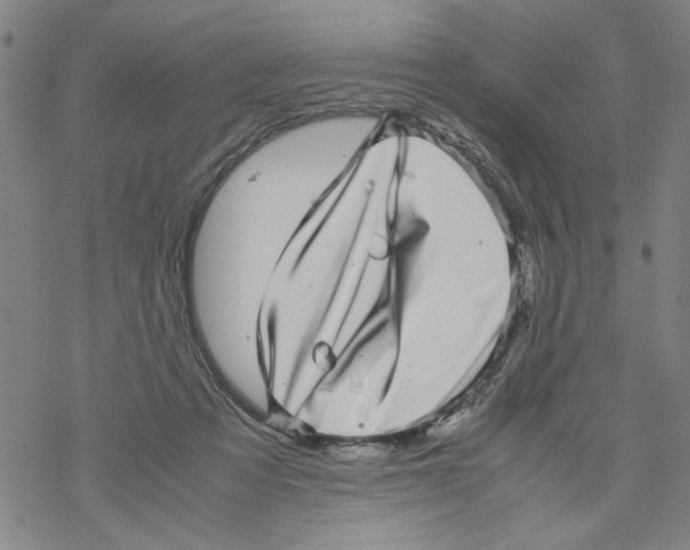 X0000067910313200605111949