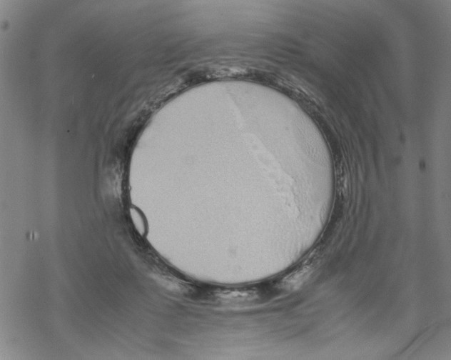 X0000067910315200605111949