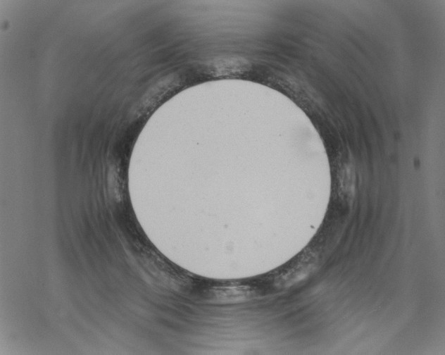 X0000067910316200605111949