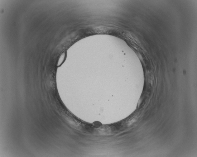 X0000067910317200605111949