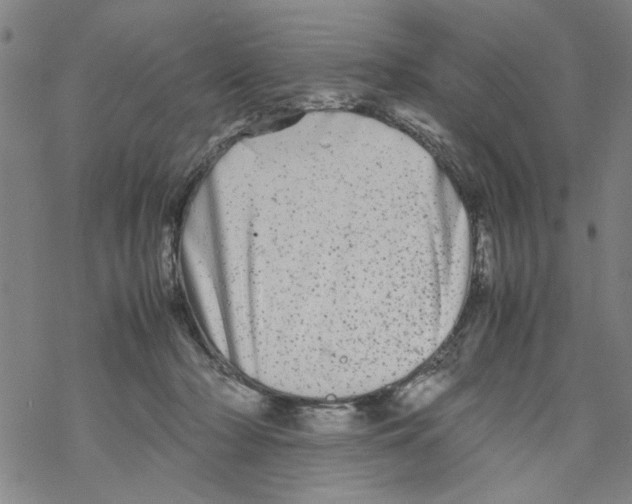 X0000067910318200605111949