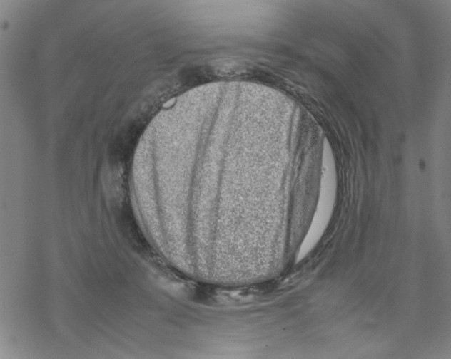 X0000067910319200605111949