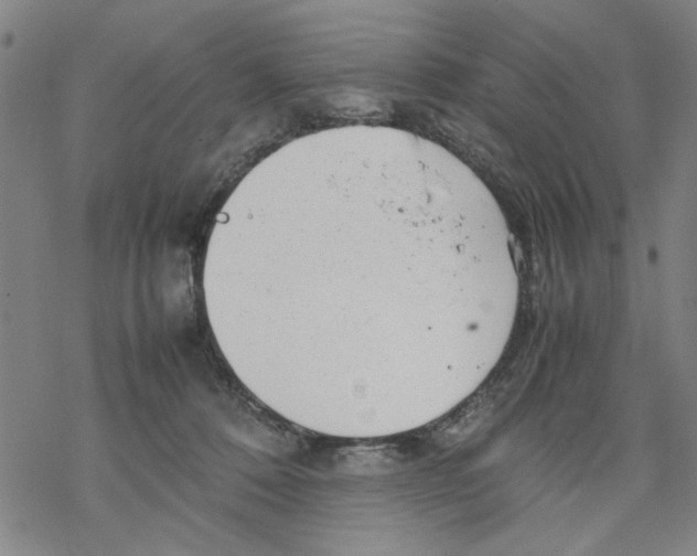 X0000067910320200605111949