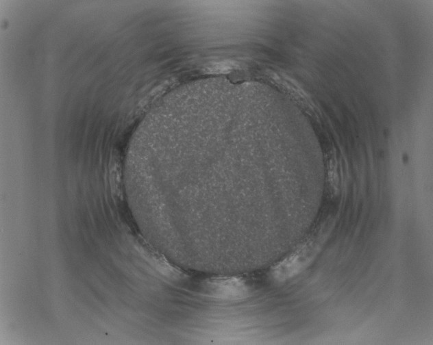 X0000067910322200605111949