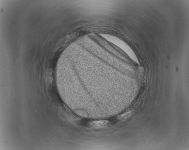 X0000067910323200605111949