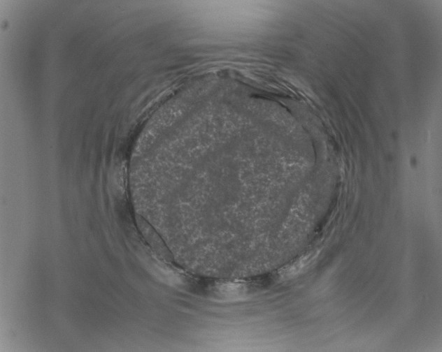 X0000067910325200605111949