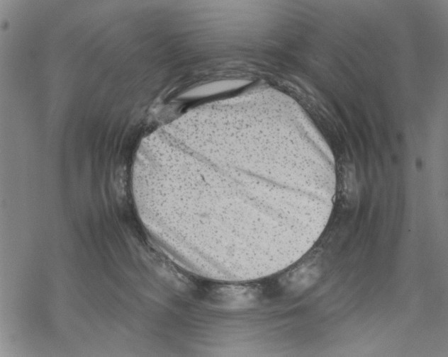 X0000067910326200605111949