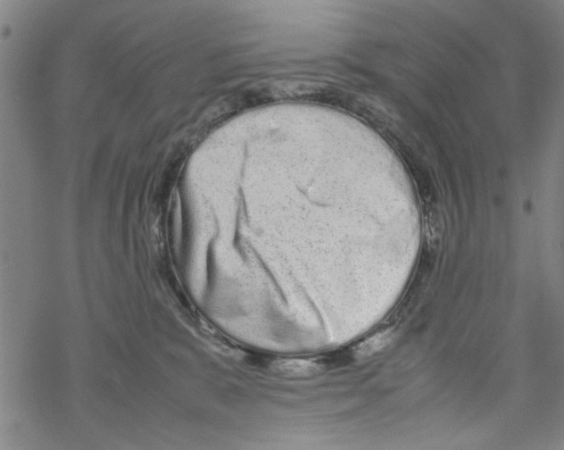 X0000067910327200605111949