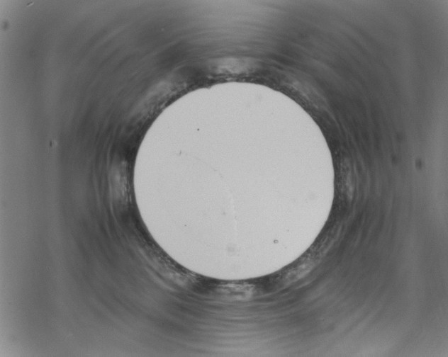 X0000067910328200605111949