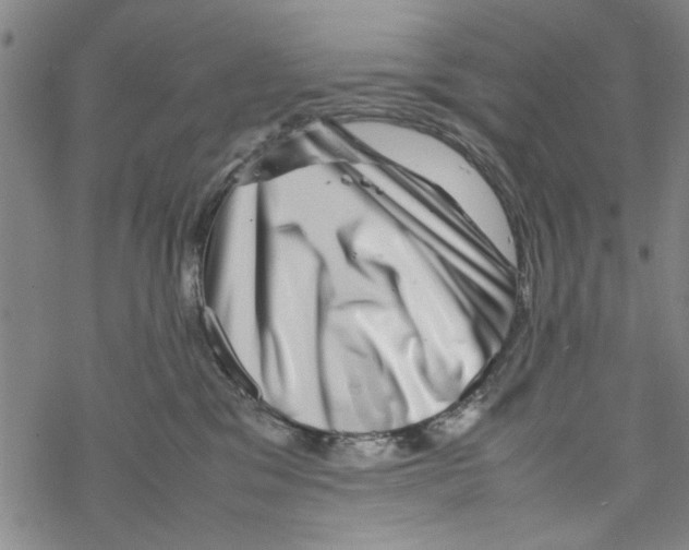 X0000067910329200605111949