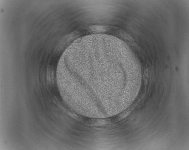 X0000067910330200605111949