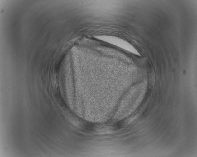 X0000067910331200605111949