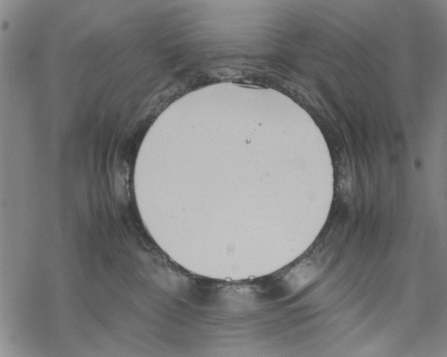 X0000067910332200605111949