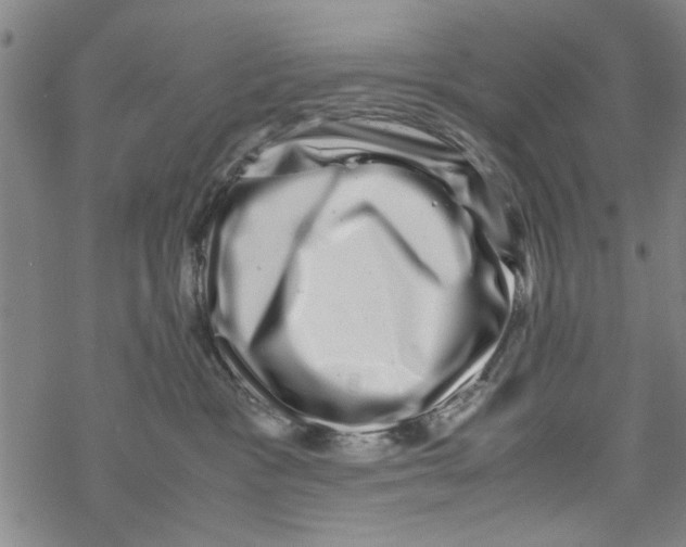 X0000067910333200605111949