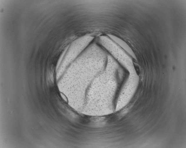 X0000067910334200605111949