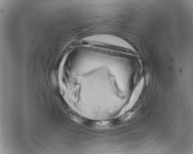 X0000067910335200605111949