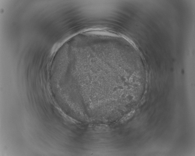 X0000067910337200605111948