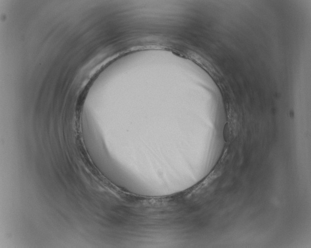 X0000067910338200605111948