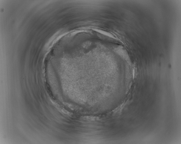 X0000067910339200605111948