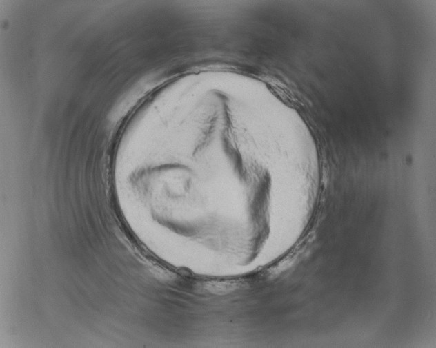 X0000067910341200605111948