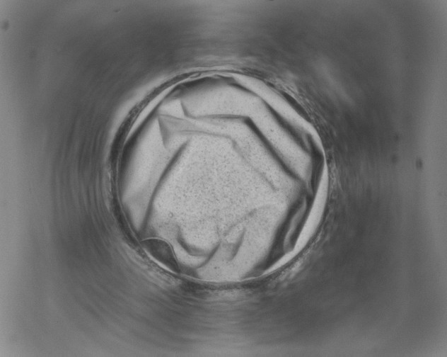 X0000067910342200605111948