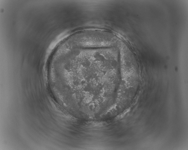 X0000067910343200605111948