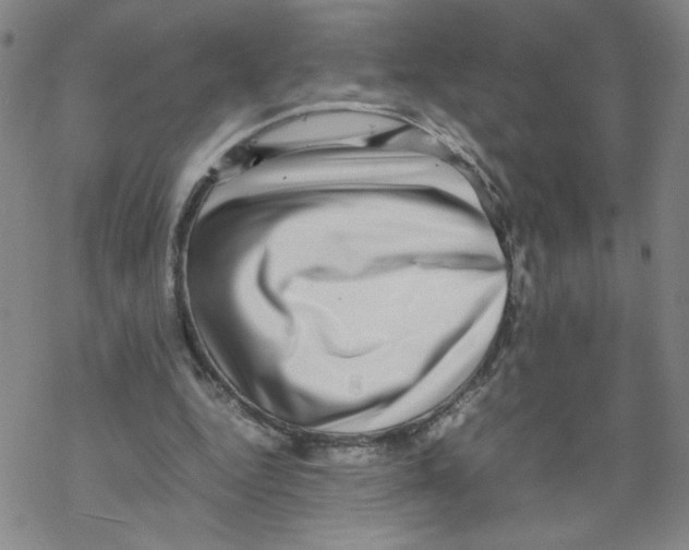 X0000067910344200605111948