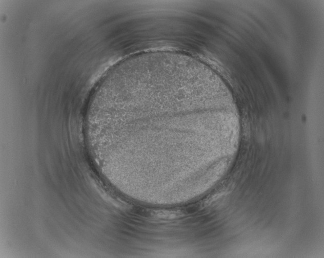 X0000067910347200605111948