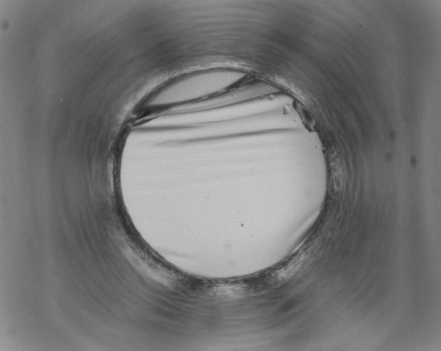 X0000067910350200605111948