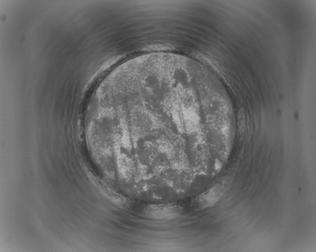 X0000067910351200605111948