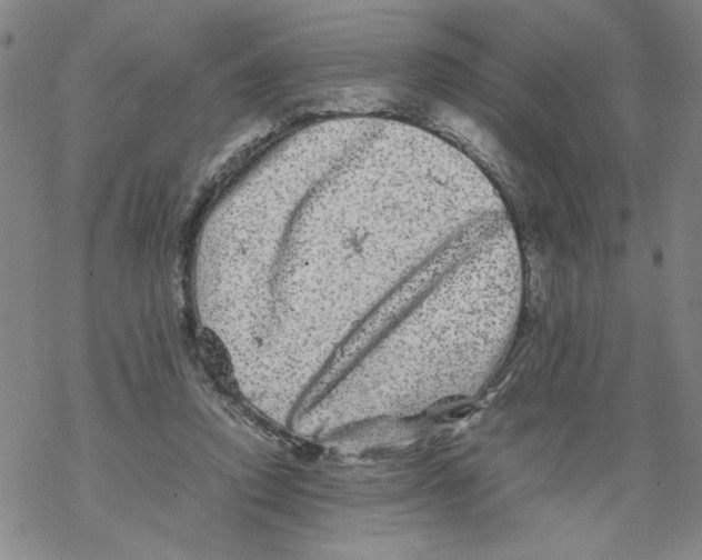 X0000067910354200605111948