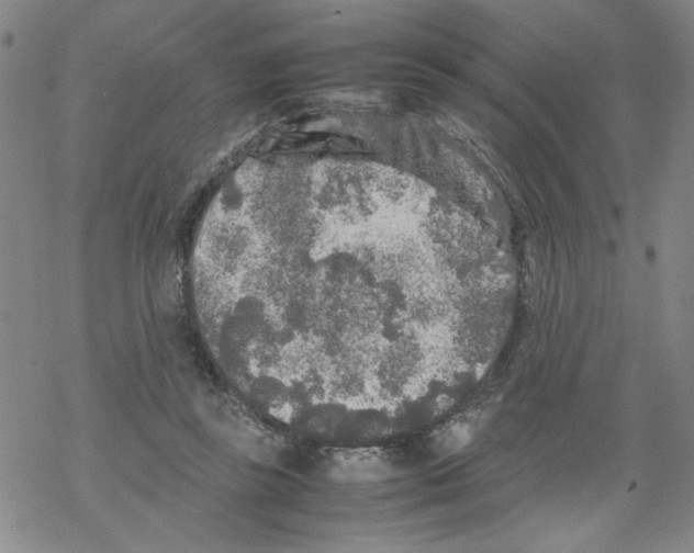 X0000067910355200605111948