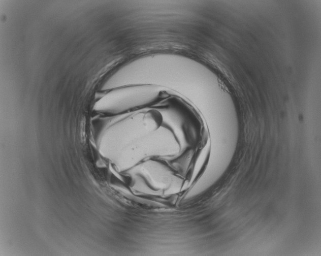 X0000067910356200605111948